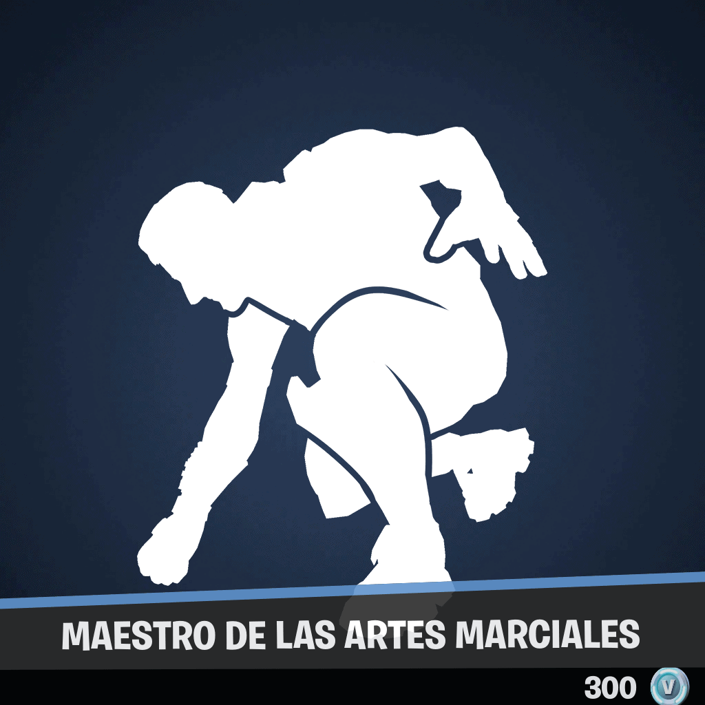 Maestro de las artes marciales